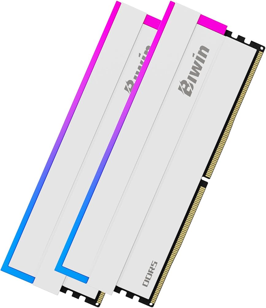 Amazon.co.jp: Biwin DW100 DDR5 6000MT/s (PC5-48000) デスクトップPC