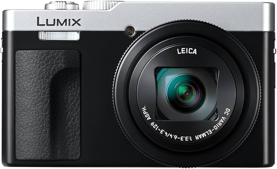 Amazon.com : Panasonic LUMIX TZ/ZS99 Point and Shoot Camera