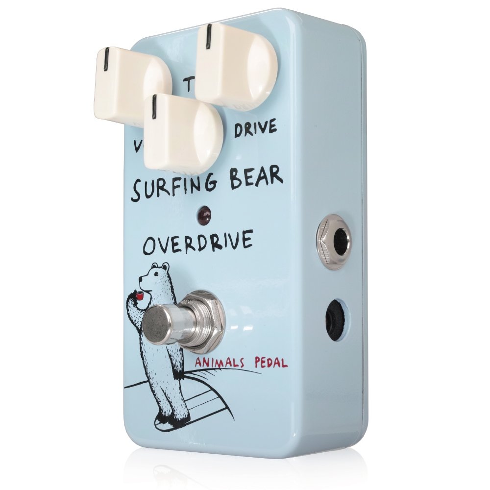 Amazon.co.jp: Animals Pedal Surfing Bear Overdrive : Musical