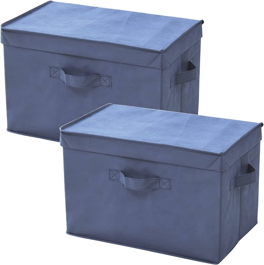 Amazon.co.jp: 山善(YAMAZEN) ふた付き 収納ボックス 2個組 カラー
