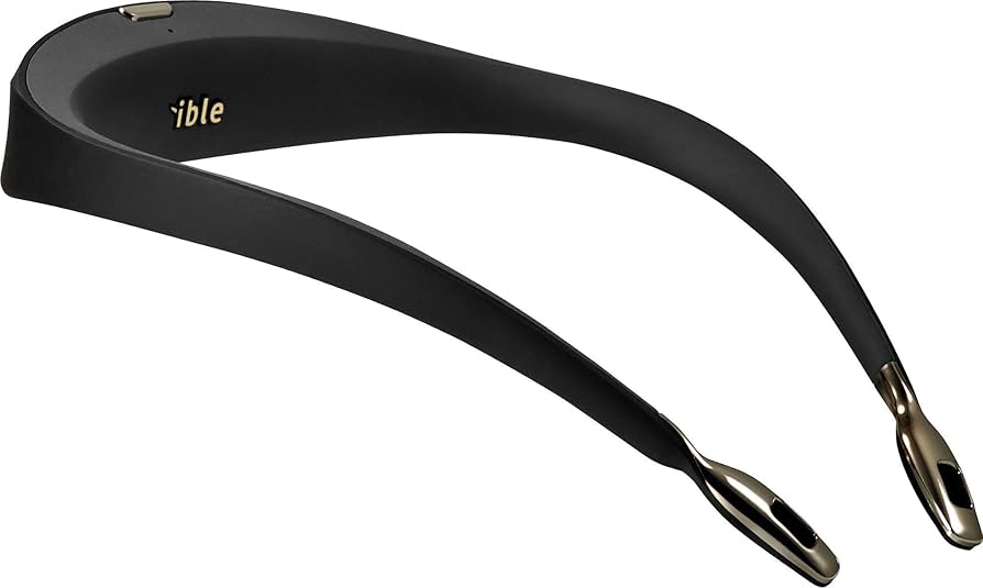 Amazon | ible Airvida 首掛け式空気清浄機 L1 (black) | ible