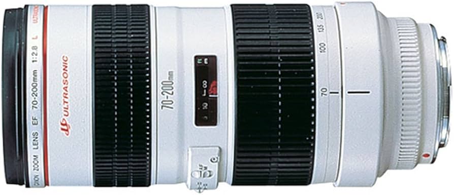 Amazon.com : Canon EF 70-200mm f/2.8L USM Telephoto Zoom Lens for