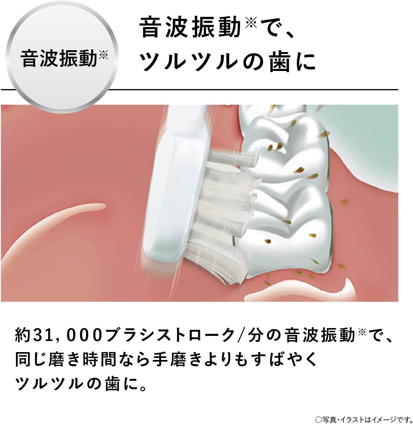 Amazon.co.jp: パナソニック 電動歯ブラシ ドルツ スリム エントリー