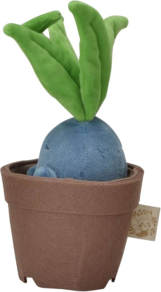 61+BhqX5AYS._AC_UF894,