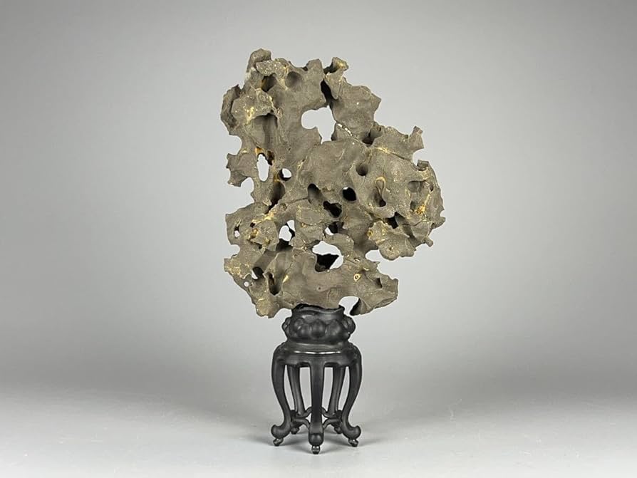 Amazon.co.jp: 鎖雲 中国美術 太湖石 玲瓏石 天然石 奇石 水石 鑑賞石