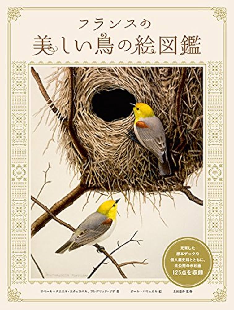 フランスの美しい鳥の絵図鑑 | ロベール=ダニエル・エチェコパル