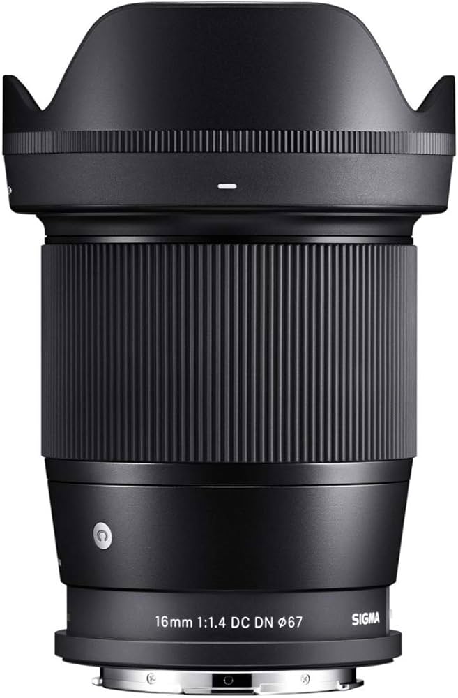 Amazon.com : Sigma 16mm F1.4 DC DN Contemporary for L Mount