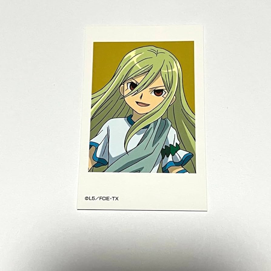 Amazon.co.jp: イナズマイレブン イナイレ ミニフォトカード