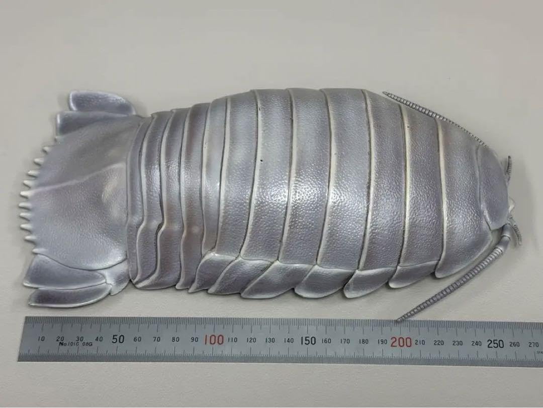 Amazon.co.jp: ネイチャーテクニカラー ダイオウグソクムシ 原寸大