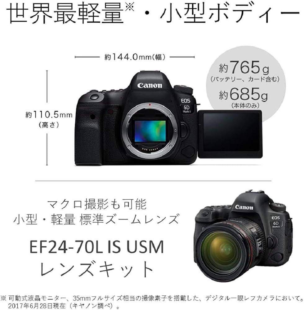 Amazon | 【整備済み品】 Canon デジタル一眼レフカメラ EOS 6D Mark