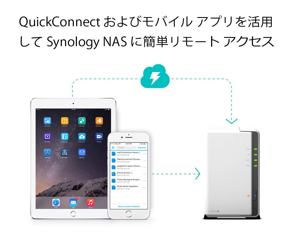 Amazon.co.jp: 【NASキット】Synology DiskStation DS216j デュアル