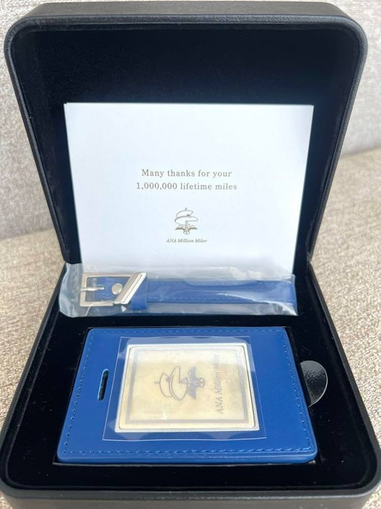 Amazon.co.jp: ANA ライフタイムマイル パートナー航空会社 ミリオン