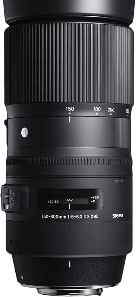 Amazon.co.jp: Sigma 150-600mm F5-6.3 DG OS HSM | C : Electronics