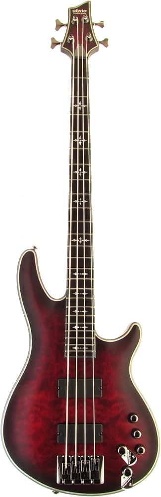 Amazon | SCHECTER HELLRAISER EXTREME 4 【AD-HR-EX-BASS-4】 エレキ