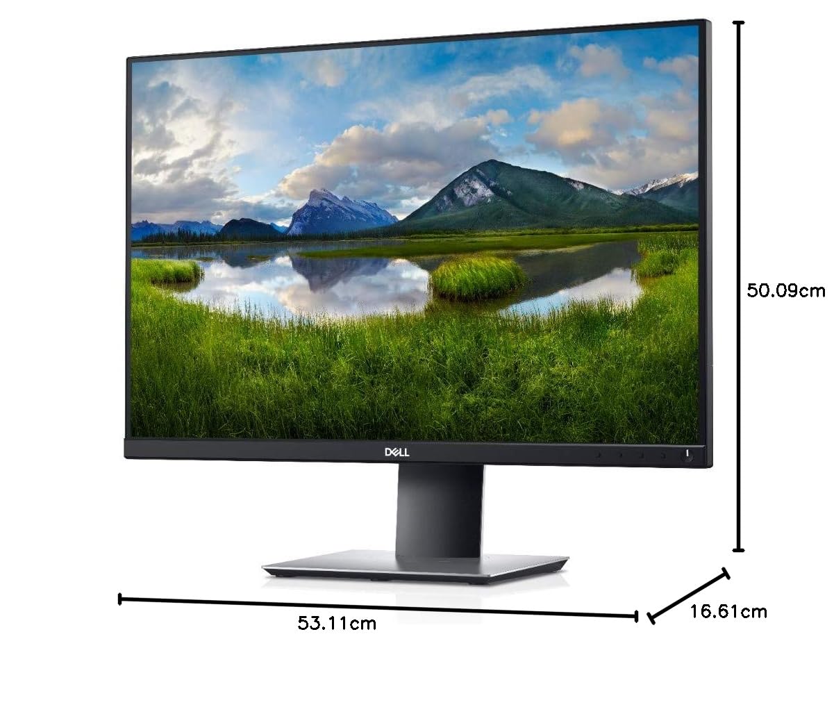 Amazon.co.jp: Dell (デル) P2421 24インチ 1200p 16:10 WUXGA フルHD