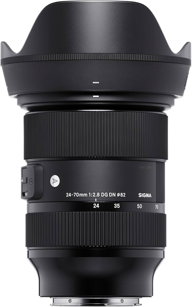 Amazon.com : Sigma 24-70mm F2.8 DG DN Art for Sony E Lens ,Black