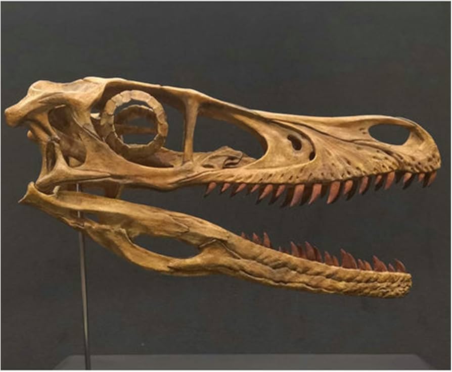 61uXX9GkglL._AC_UF894,