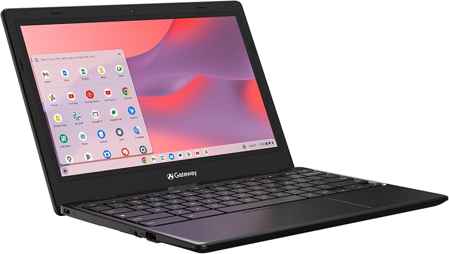 Amazon.com: acer Gateway Chromebook 311 CBO311-1H-C1MX Laptop