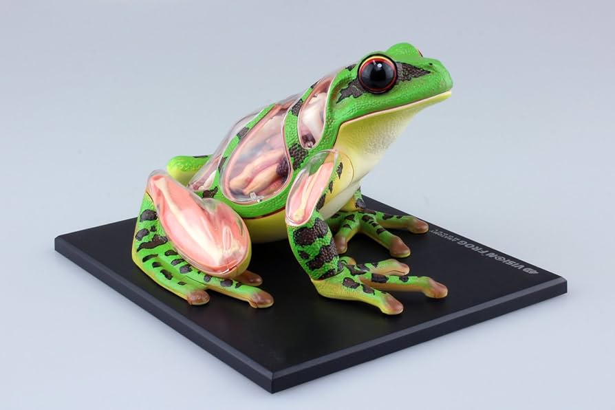 61vbGD5idOL._AC_UF894,