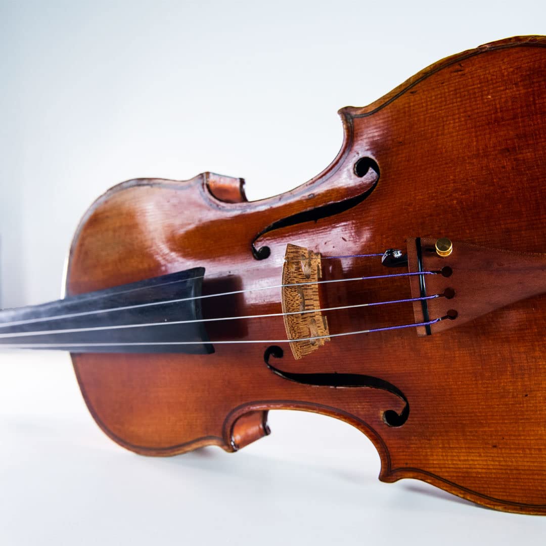 Amazon.co.jp: THOMASTIK ペーター・インフェルド バイオリン弦 (バラ