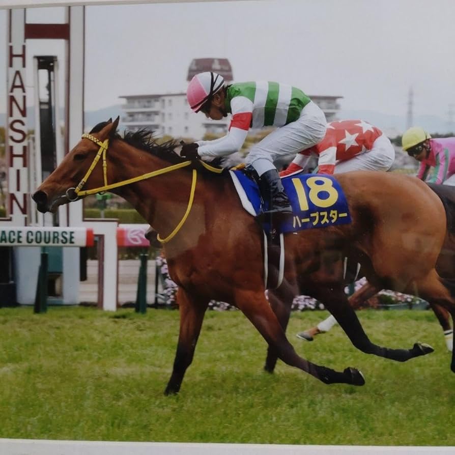 廃盤・レア品】競馬 ハープスター 2014桜花賞