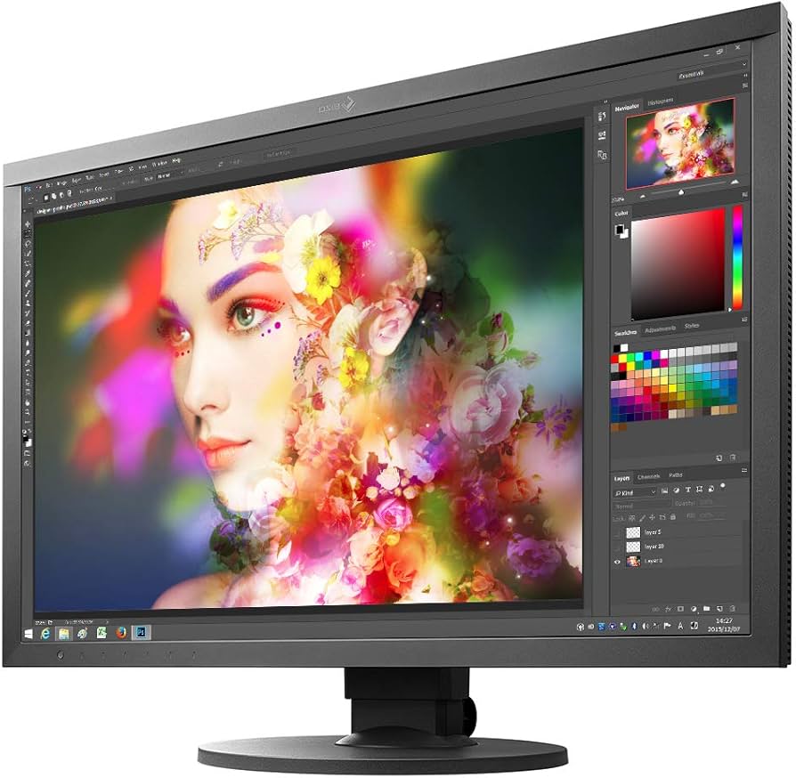 Amazon.com: EIZO CS2420-BK ColorEdge Professional Color Graphics