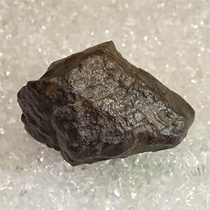 Amazon | モロッコ産 コンドライト隕石 NWA 石質隕石 53mm原石 135.3g