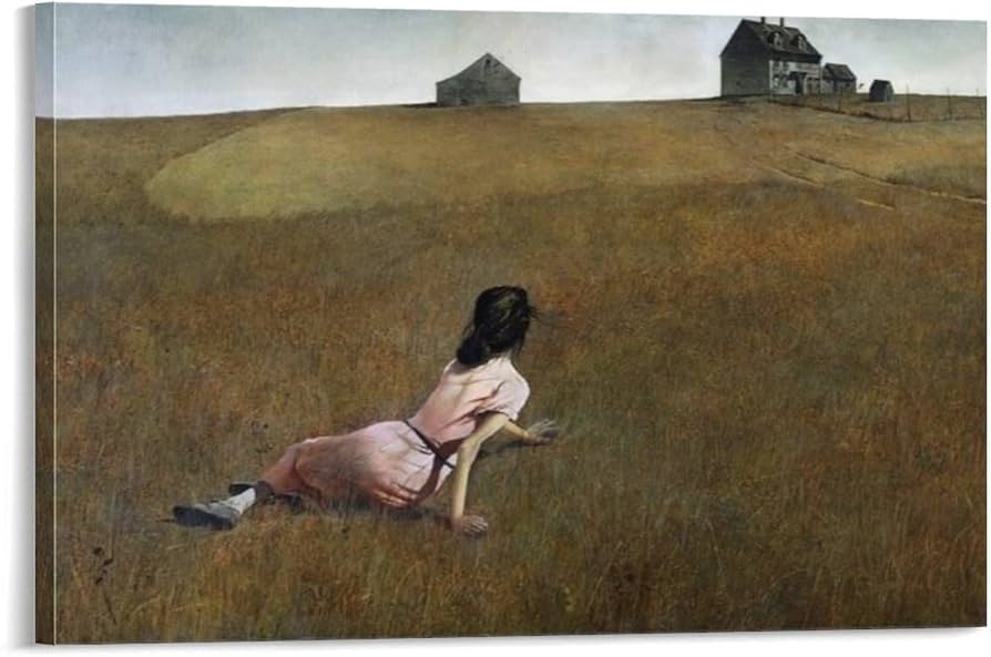 Amazon.co.jp: アンドリュー・ワイエス クリスティーナの世界