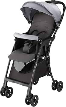 61y52EoLRGL._AC_UF350,