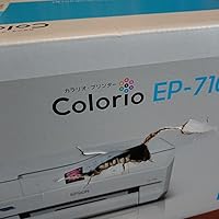 Amazon.co.jp: 旧モデル エプソン プリンター A4 インクジェット 複合