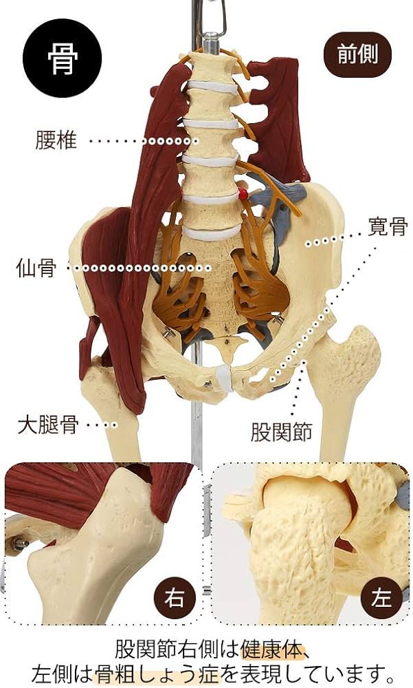 61zAU6eLZfL._AC_UF1000,
