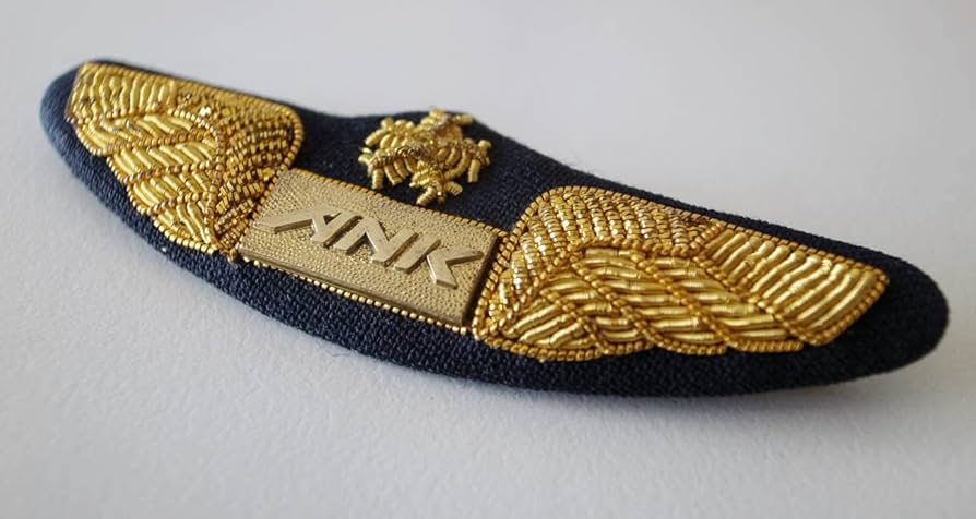 Amazon.co.jp: ANK エアーニッポン パイロット ウィングバッジ 解散時