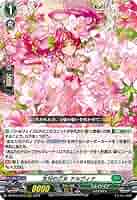 友好の乙女アルヴィナ3枚