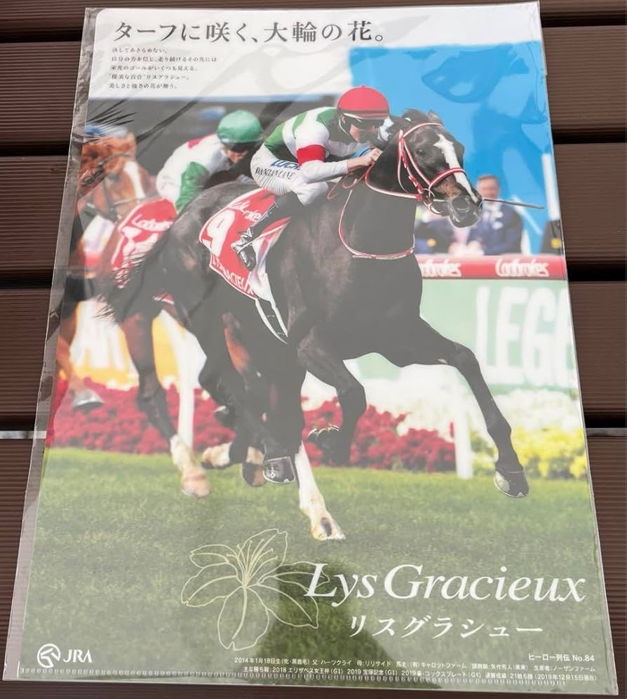 Amazon.co.jp: JRA 中山競馬場 ヒーロー列伝 クリアファイル リス