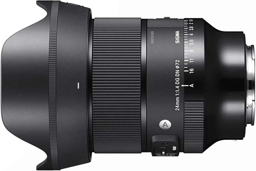 Amazon.com : 24mm F1.4 Art DG DN for Sony E Mount : Electronics