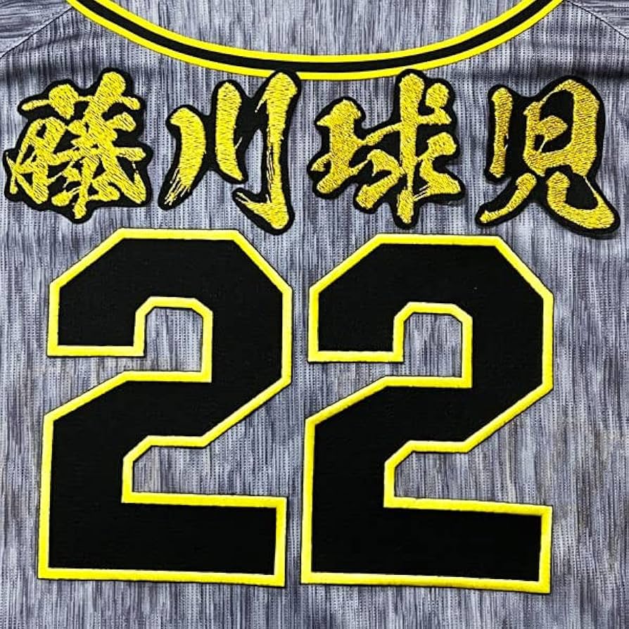 Amazon.co.jp: 阪神 タイガース 刺繍ワッペン 藤川 球児 背番号 & 毛筆