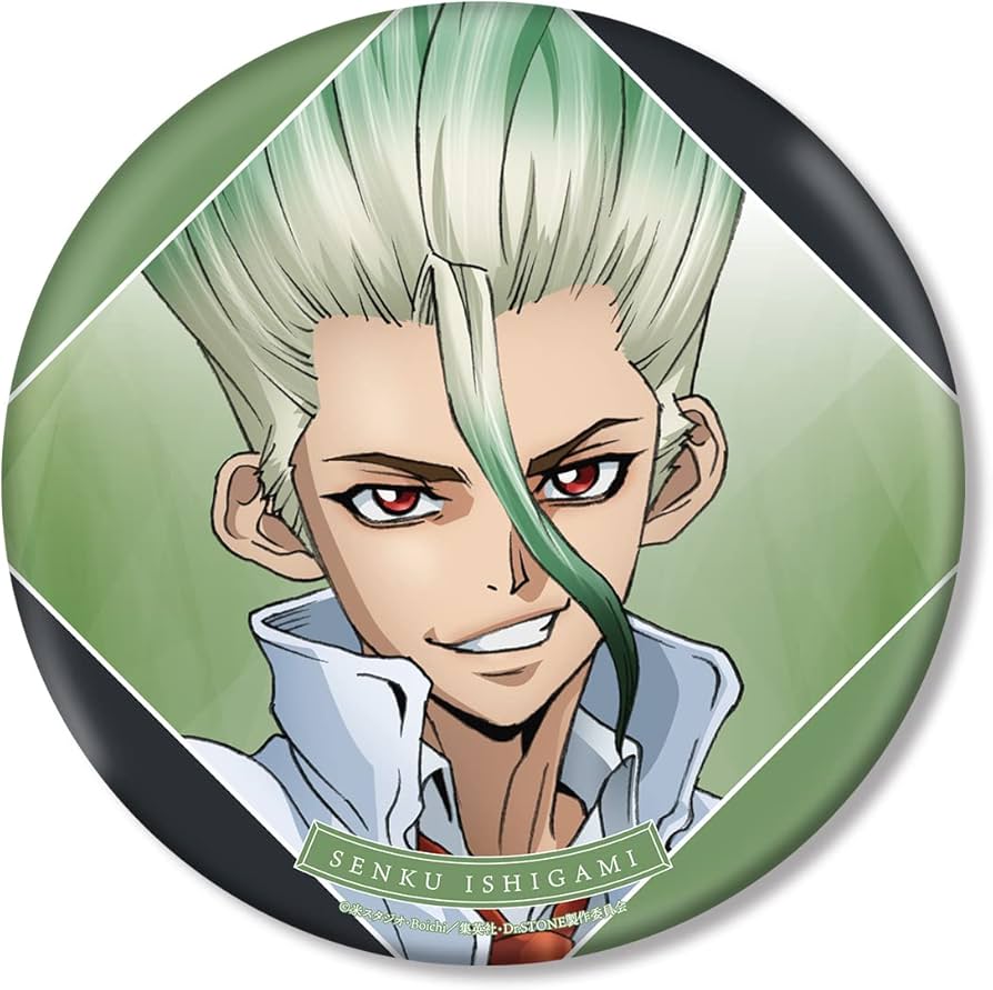 Amazon.co.jp: Dr.STONE 描き下ろしイラスト 石神千空 石化前ver. BIG