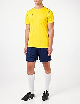 Amazon.com: Nike M Park 20 Training Top (Yellow - Black, M