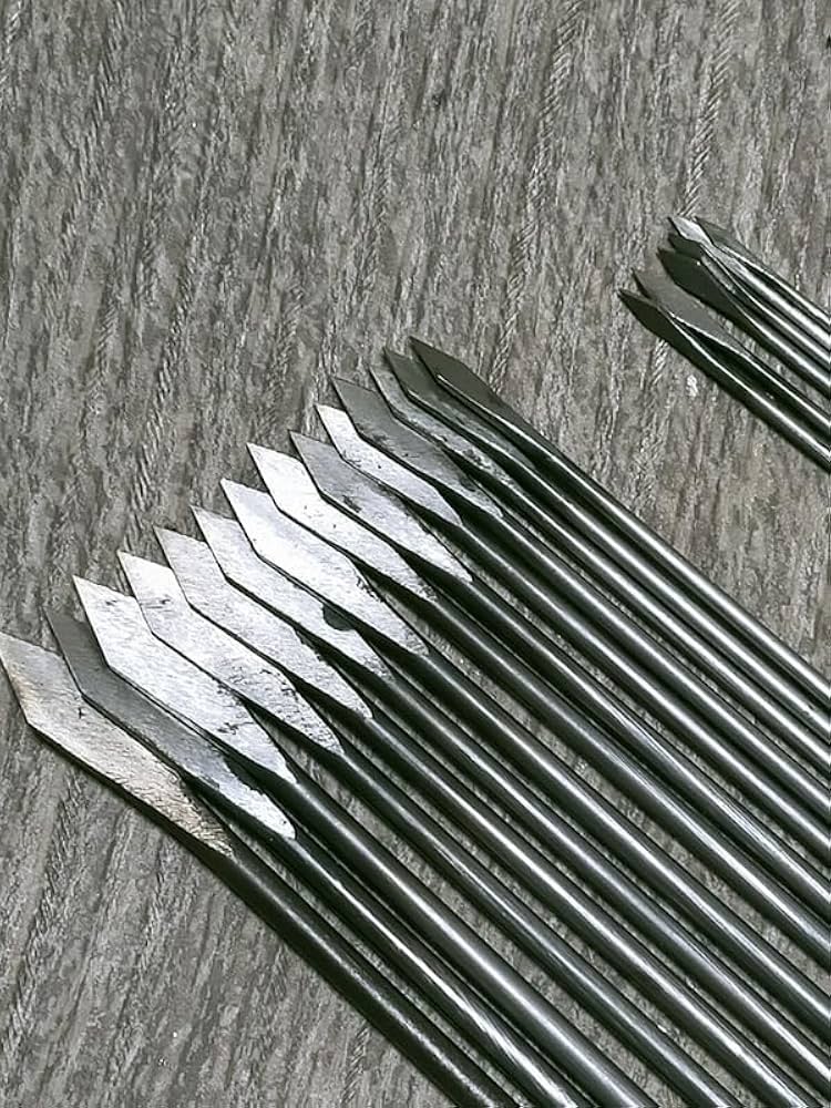 Amazon.co.jp: 竹節抜き 和竿製作工具 長剣先キリ 2.5mmmm12mm 20本