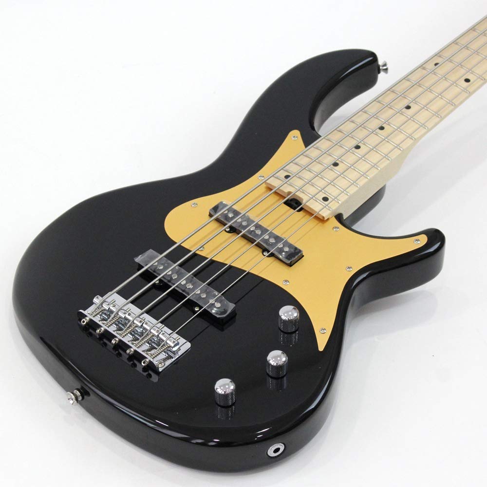 Amazon.co.jp: AriaProII 5弦ベース RSBシリーズ BK RSB-618/5 : 楽器