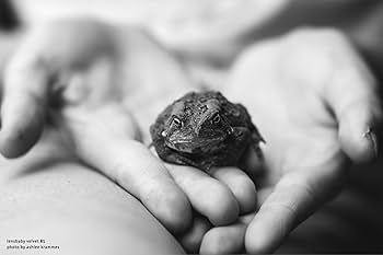 Amazon.co.jp: Lensbaby ソフトレンズ Velvet 85 85mm F1.8 ソニーαA用