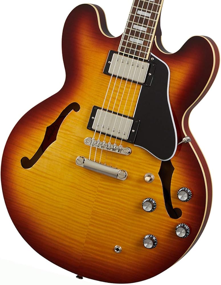Amazon.co.jp: エピフォン Epiphone ES-335 Figured Raspberry Tea