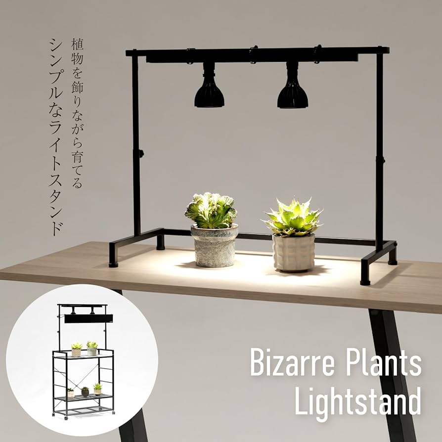 Amazon.co.jp: BIBILAB(ビビラボ) ビザールプランツライトスタンド LPS