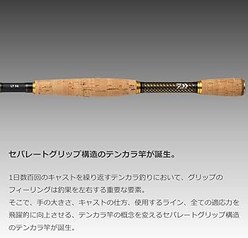Amazon | ダイワ(DAIWA) EXPERT テンカラ LT 33 | ダイワ(DAIWA) | 渓流竿