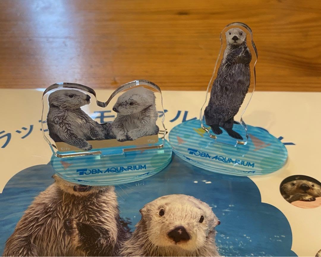 Amazon.co.jp: 鳥羽水族館 ラッコのメイとキラ 写真集 ラッコ