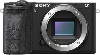 Amazon | SONY(ソニー) ミラーレス一眼 α6600 ボディ ブラック ILCE
