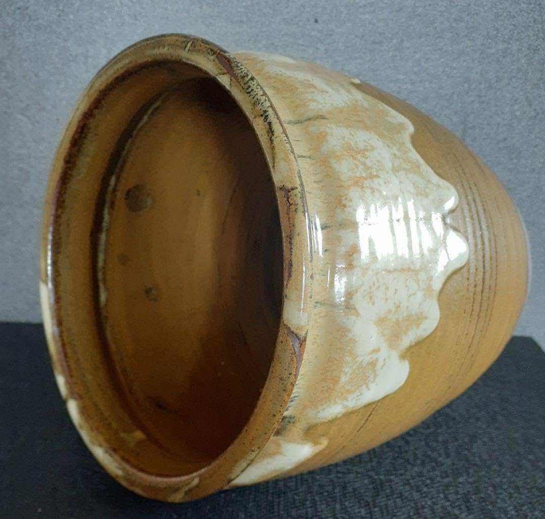 Amazon.co.jp: 国指定伝統工芸品熊本県小袋焼藁灰釉 黄釉 花入れ 水草