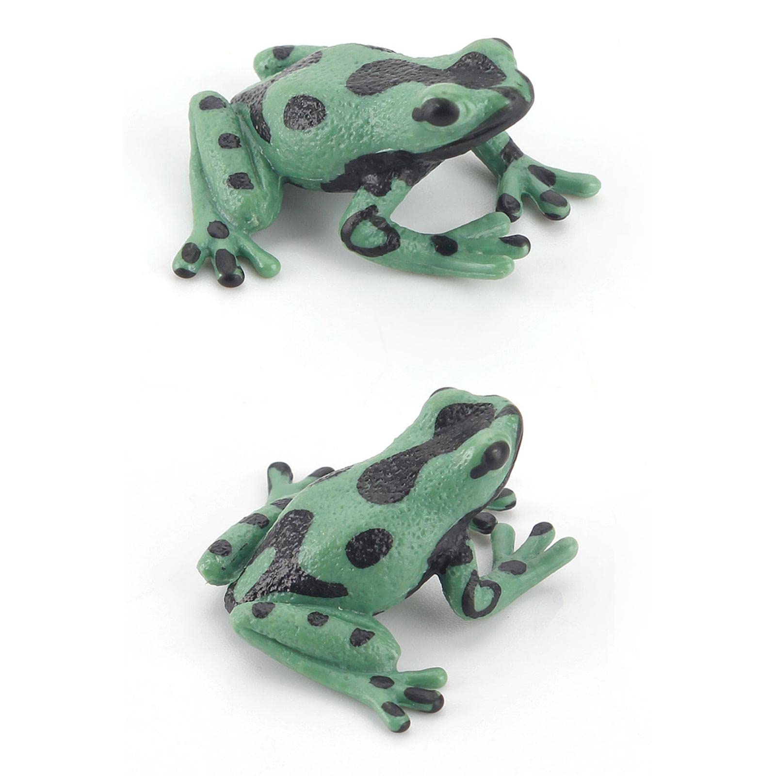 Amazon.co.jp: JWQFBC 7 個リアルなカエルのおもちゃフィギュア森林
