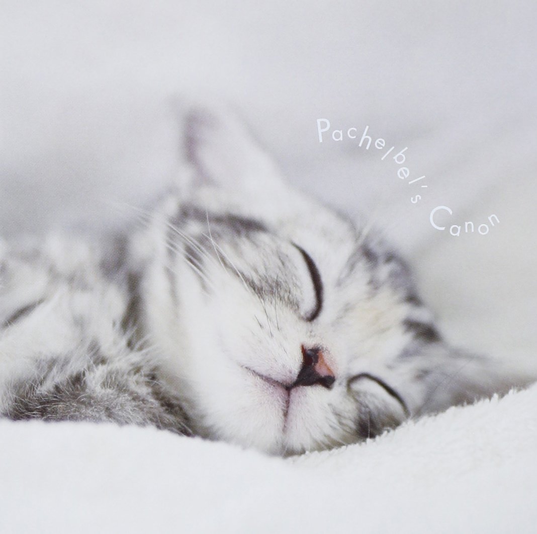 Amazon.co.jp: まるごと!パッヘルベルのカノン: ミュージック