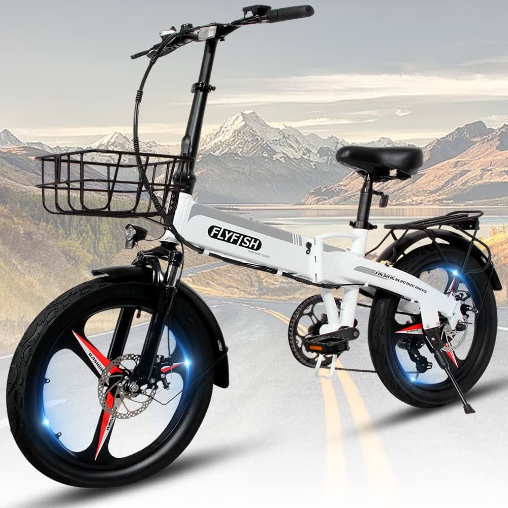 Amazon | 当店おすすめ！ FLYFISH 型式認証取得済 公道走行可能 免許